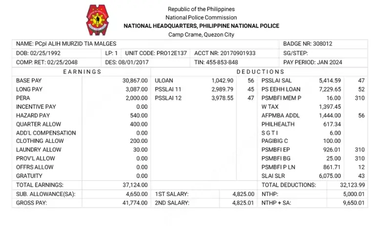PNP Online Payslip Format